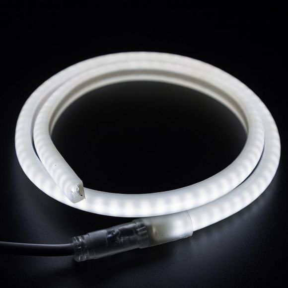 Гибкий Неон профессиональный LED SMD, форма - D, белый, 120 LED/м,  бухта 100м