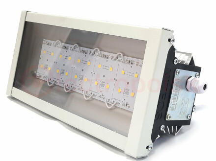 Светильник NT-PROM PAINT 50 FRAME Ex - с защитной рамкой