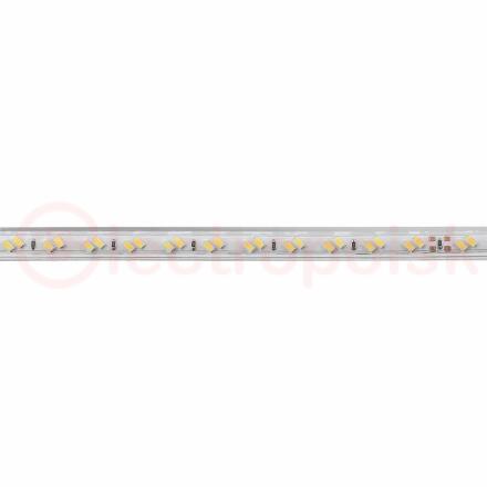 Лента светодиодная LEDх120/м 1м 11w/m 220в IP65 белый Лента светодиодная LEDх120/м 1м 11w/m 220в IP65 белый