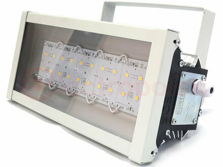 Прожектор NT-LIRA PAINT 30 FRAME Ex - с защитной рамкой