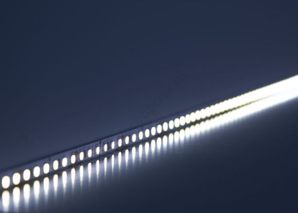 Лента светодиодная LEDх120/м 5м 11w/m 24в дневной (41058)