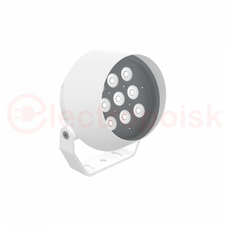 Светильник светодиодный ДПУ-35Вт RGBW IP66 30 гр. Frieze M DMX Белый