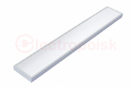 Diora NPO IP65 SE 40/4300 opal 6K Diora NPO IP65 SE 40/4300 opal 6K