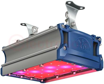 Светильник светодиодный ФИТО-42,1W IP67 106.7мкмоль/с КСС Г UN
