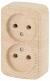 Розетка Intro Polo 3-203-11 двойная без заземления 2х2P, 16A-250В, IP20, ОУ, сосна