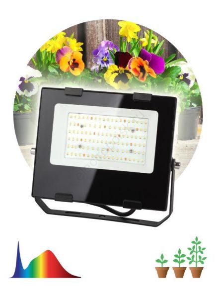 Прожектор светодиодный для цветения и плодоношения FITO-50W-Ra90-LED ЭРА  (10/300)
