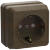 Розетка РСш20-3-ОД одноместная с заземляющим контактом с защитными шторками 16А открытая установка Октава дуб