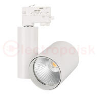 Светильник трековый LGD-SHOP-4TR-R100-40W Warm SP2500-Bread (WH, 24 deg) (ARL, IP20 Металл, 3 года) Светильник трековый LGD-SHOP-4TR-R100-40W Warm SP2500-Bread (WH, 24 deg) (ARL, IP20 Металл, 3 года)