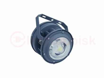 Светильник ACORN LED 30 D120 5000K Ex