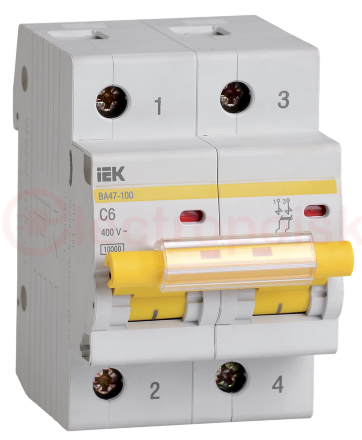 Авт. выкл. ВА47-100 2P 6А 10кА х-ка C IEK
