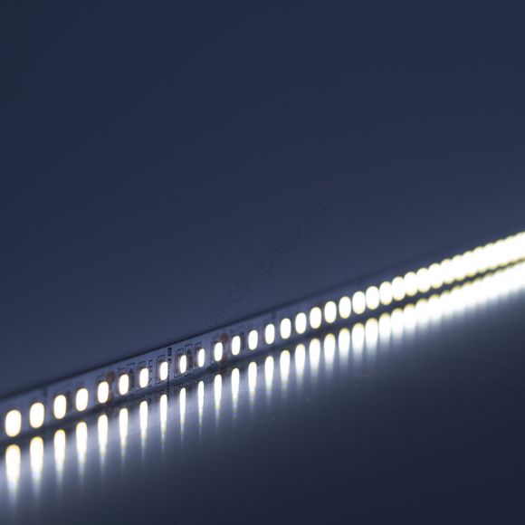 Лента светодиодная LEDх180/м 5м 16w/m 24в дневной (41529)