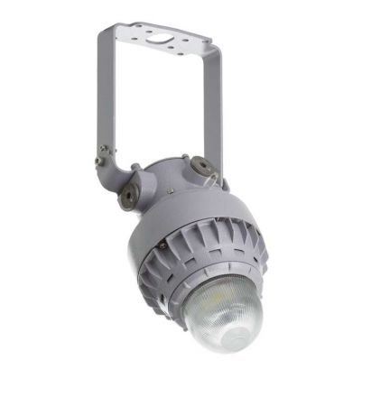 Светильник GLOBUS LED 40B Ex