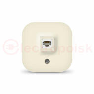 Розетка компьютерная одноместная серия IONICH, о/у, 1А, RJ45, слоновая кость (ivory) Розетка компьютерная одноместная серия IONICH, о/у, 1А, RJ45, слоновая кость (ivory)